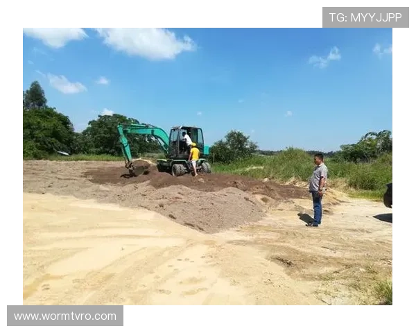多特蒙德老板呼吁严厉措施出台